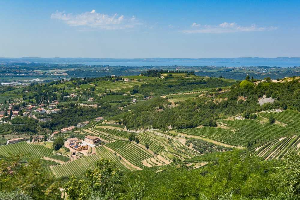Cosa vedere in Valpolicella panorama da San Giorgio in Valpolicella