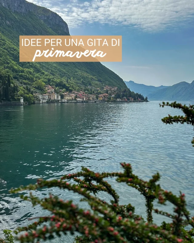 8 Idee per una gita di primavera 🌺

🚙 sono tutte gite a meno di due ore di auto oppure treno da Milano e perfette per trascorrere una bella giornata all’aria aperta 

📝 per ognuna di queste mete trovi un articolo dettagliato sul nostro blog con tutte le info per raggiungerle e soprattutto cosa fare, dove mangiare, ecc… {link in bio}

✏️ altrimenti nei commenti scrivi info + nome meta e ti invieremo l’articolo di tuo interesse

👉 quale tra queste mete hai già visto, oppure quale ti piacerebbe vedere?

s❤️lva per non dimenticartene
🔗 segu|ci per altri consigli di viaggio

Gita primavera | Milano gita fuori porta | idee weekend | consigli di viaggio | 

#primavera #gitafuoriporta #gitadiprimavera #gitadamilano #gitaprimaverile #ideeweekend #cosafarenelweekend