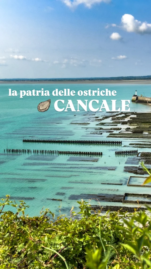 Cancale, patria delle ostriche 🦪 

📍Cancale
situata in Francia, nella regione della Bretagna nella Baia di Mont-Saint-Michel, nel dipartimento dell’Ille-et-Vilaine

🦪 qui si trovano numerosi allevamenti di ostriche ed è possibile gustarle sul molo freschissime, direttamente dai produttori, al mercato delle ostriche che si tieni tutti i giorni, primavera/estate dalle 9 alle 19, luglio e agosto dalle 9 alle 20, in inverno dalle 9 alle 17.30

🍋‍🟩le vendono solo a dozzine ed anche in vari formati, inteso come dimensioni del frutto

💰 costo 8€, ma ci sono anche a prezzi più alti, a seconda appunto del formato

🦀 sul lungomare si trovano diversi ristoranti e bistrot, dove puoi gustare altri frutti di mare della zona, ma i prezzi delle ostriche sono molto più cari ed anche i piatti li abbiamo trovati più cari rispetto ad altre zone della Bretagna

👉 ti piacciono le ostriche?

📝 a breve sul blog un articolo dettagliato su Cancale e dintorni, intanto dai un occhio al nostro itinerario in Bretagna {link in bio}

📌 s@lva per non dimenticartene
🔗 segu|ci per altri consigli di viaggio

Cancale | Bretagna | Ostriche di Cancale | cosa mangiare in Bretagna | viaggio in Bretagna | Bretagna itinerario | Francia turismo | viaggi on the road |

#cancale #bretagna #ostriche #viaggioinbretagna #francia #viaggiare #consiglidiviaggio